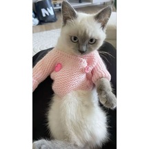 Busako Cat Özel Tasarım Kedi Kıyafeti