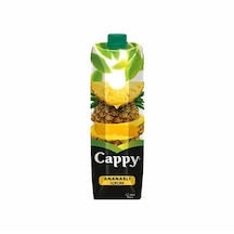 Cappy Ananaslı İçecek 1 L