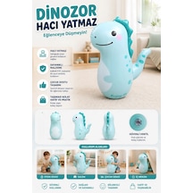 65 Cm Şişme Dinozor Hacıyatmaz Oyuncak Kumlu Denge Oyuncağı 3+ Yaşwj003
