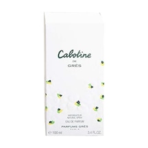 Gres Cabotine De Gres Edp 100ml Kadın Parfüm Diğer