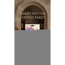 Harry Potter Koleksiyon Sürpriz Figür Oyuncak Seti