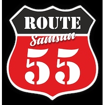 55 Samsun Sticker 10x10 Cmrenkli Sticker