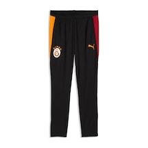 Puma Galatasaray Erkek Antrenman Eşofman Altı 786814 03 Siyah