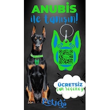 Petjoo 30.Anubis Mavi-Yeşil Qr'lı Köpek Künyesi