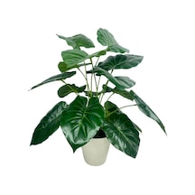 Yapay Çiçek Difenbahya Yeşil Salon Çiçeği 50cm Beyaz Saksılı Yapay Bitki