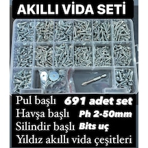 691 Parça Akıllı Vida Seti Pul Ph 2 Yıldız Uç
