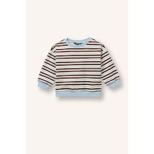 Defacto %100 Pamuk Regular Fit Bisiklet Yaka Düşük Omuzlu Çizgili Erkek Bebek Sweatshirt I0699a526aubn330 Kahve-bn330