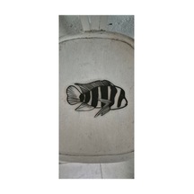 Frontoza Işıksız 15cm
