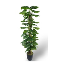 Yapay Çiçek Pothos Salon Sarmaşığı Tropik Salon Bitkisi Yapay Ağaç 165cm