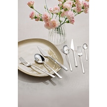 Emsan Ladin 84 Parça 12 Kişilik Çatal Kaşık Bıçak Seti Kutulu Gümüş