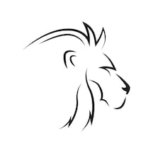 Aslan 5 Folyo Sticker 160cm Uzunluk Siyah
