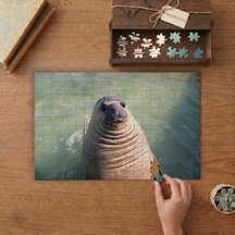 Güney Deniz Fili Tasarımı 240 Parça Ahşap Puzzle Ahşap Kutuda Mpy60118