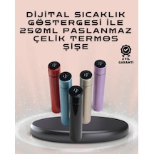 250ml Led Ekranlı Paslanmaz Çelik Akıllı Termos Mavi