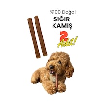 Havhav 2 Adet Sığır Kamış Çiğneme Çubuğu Köpek Ödülü