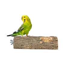 Doğal Ağaç Kuş Tüneği Ve Yemlik 15 Cm