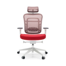 Passion Oyuncu Ofis Yönetici Çalışma Makam Koltuğu