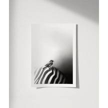 Çerçevesiz Poster Çizgilerin Üzerinde