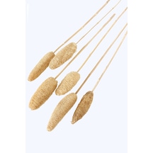 Yapay Çiçek Deposu Tropikal Tropic Luffa Kuru Çiçek Bambu Saplı 6 Adet