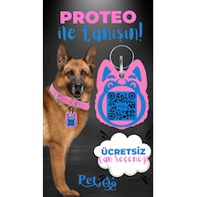 Petjoo 24.Proteo Mavi-Pembe Qr'lı Köpek Künyesi