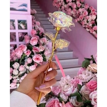 Hologram Gül