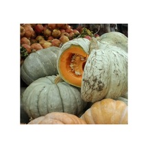 Kabak Bal Tohumu - 10 Gram