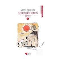 Özgürlüğe Kaçış / Bopato-2 / Cemil Kavukçu