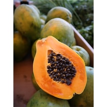 Papaya Tohumu 5 Adet