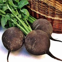 Siyah Turp Tohumu 25GR