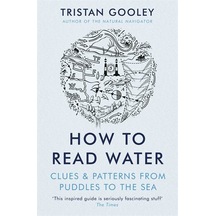 How To Read Water: Clues & Patterns From Puddles To The Sea