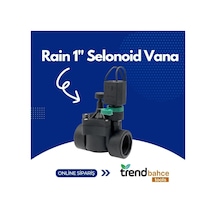 Rain 1'' Selonoid Vana 24v