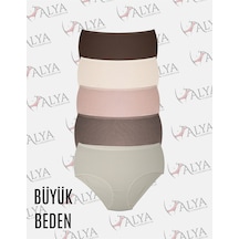 Çok Renkli