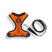 Air-mesh Kumaş Tasma Ve Tasma Kayışı Turuncu, X-small