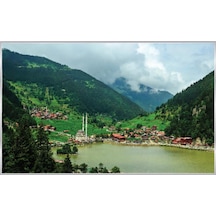 Poster Duvar Kağıdı 1064 4 Parça 2.54mt X 1.84mt Renkli
