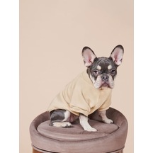Balloon Küçük ve Orta Irk Köpekler İçin Köpek Sweatshirt