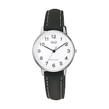 Q&q C65a-004py Kadın Kol Saati Gümüş
