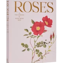 Rizzoli Roses İn The Garden 9780847843053