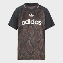 Adidas Kx1898 Stn Jrsy Kadın Tişört Kahverengi