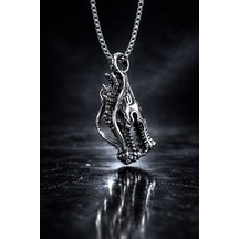 Paslanmaz Çelik Dragon Gotik Tasarım Box Zincirli Ejderha Kolye Gümüş - Gri