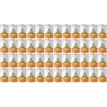 King Et Parçacıklı Tavuklu Yavru Kedi Konserve 400 Gr 48 Adet
