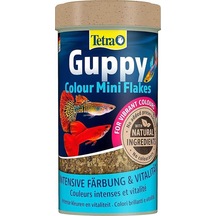 Tetra Guppy Clour Mini Flakes Lepistes Pul Balık Yemi 100 Ml