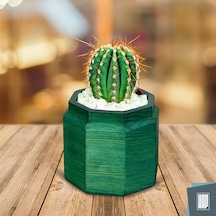 Kaf Ahşap Dekoratif Mini Saksı / Sekizgen / Zümrüt Yeşil Kaf Ahşap Dekoratif Mini Saksı / Sekizgen / Zümrüt Yeşil