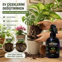 Kökmax Ev Bitkileri İçin Kök Güçlendirici Ve Çiçek Coşturucu Sprey 500 ML