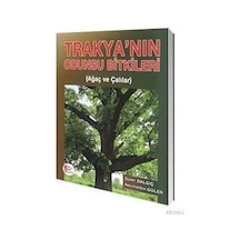 Hipokrat Trakyanın Odunsu Bitkileri Ağaç Ve Çalılar