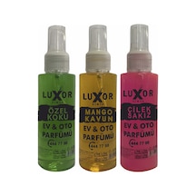 Luxor Kimya Özel Koku Mango Kavun Çilek Sakız 100 Ml