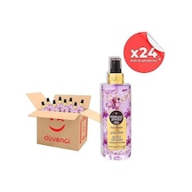 Pj Body Splash Pure 250 Ml X 24