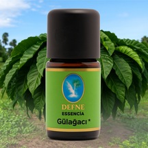 Gül Ağacı Organik %100 Saf Uçucu Yağ 5ml
