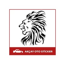 Lion Aslan Sticker Lion Aslan Oto Sticker Lion Araba Sticker