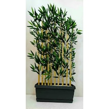 10'lu Bambu 130 Cm Plastik Saksı Yeşil