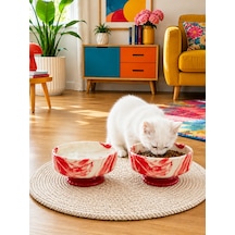 Mama Kabı Kedi Ve Köpek Ayaklı 2 Li Seramik Doğal Mama Ve Su Kabı Kırmızı Marble