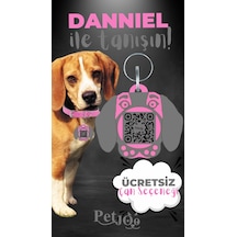 Petjoo 21.Danniel Gri-Pembe Qr'lı Köpek Künyesi